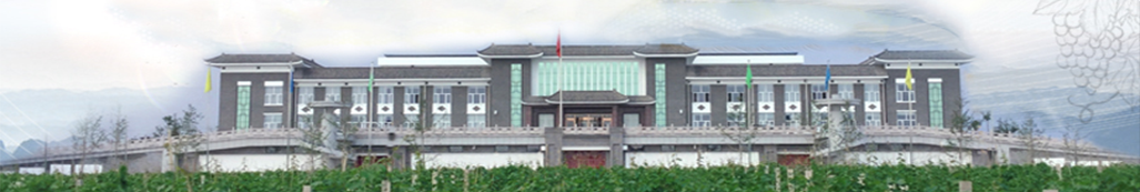 關于我們